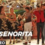 Senorita Song Lyrics Image