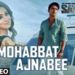 Mohabbat Ajnabee Song Lyrics Image