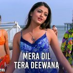 Mera Dil Tera Deewana Song Lyrics Image