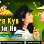 Chehra Kya Dekhte Ho Song Lyrics