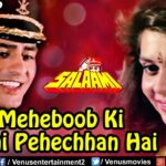 Mere Mehboob Ki Yehi Pehchan Song Lyrics