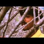 O Meri Jaan Dil Ho Gaya Tera