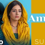 Ammi