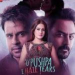 Tu Hai Teri Aashiqui