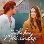 Tu Hi Hai Meri Zindagi Song