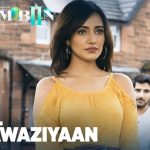 Dil Nawaziyaan Song