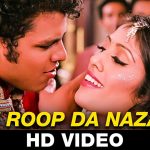 Tere Roop Da Nazaara Song