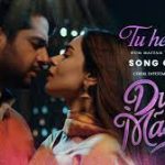 Tu Heer Meri Song