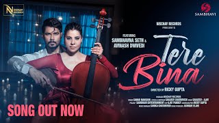 Tere Bina Song Lyrics – Nischay Records