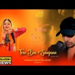 Tere Bin Saajnaa Song