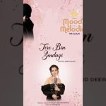 Tere Bin Zindagi Song
