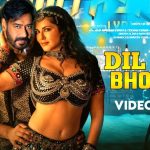 Dil Hai Bholaa Song