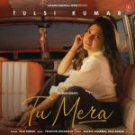 Tu Mera Song