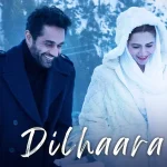 Dilhaara Song