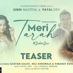 Meri Tarah Song