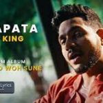 Laapata Song