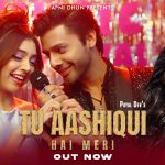 Tu Aashiqui Hai Meri Song