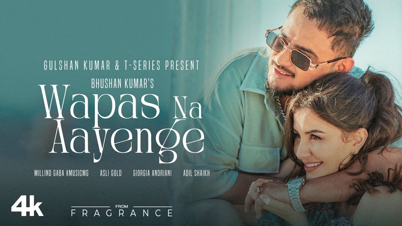 Wapas Na Aayenge Song Lyrics