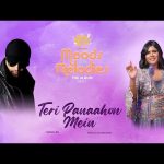 Teri Panaahon Mein Song
