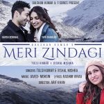 Meri Zindagi Song