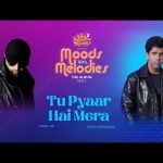 Tu Pyaar Hai Mera Song