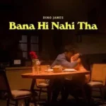 Bana Hi Nahi Tha Song