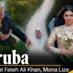Dilruba Song