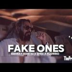 Fake Ones Song