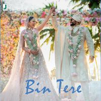 Bin Tere Song Lyrics