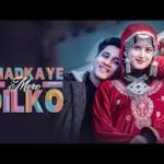 Dhadkaye Mere Dilko Song