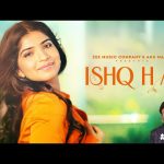 Ishq Hai Song