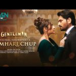 Tumhari Chup Song