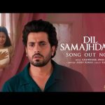 Dil Samajhdaar Song
