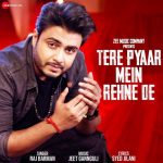 Tere Pyaar Mein Rehne De Song