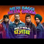 Meri Baggi Mera Ghoda Song