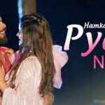 Hamko Tumhare Pyar Ne Song