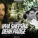 Kya Sheesha Dekh Paoge Song