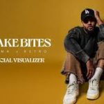 Snake Bites Song