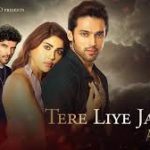 Tere Liye Jaanam Song