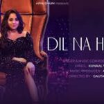 Dil Na Hoga Song