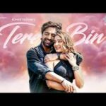Tere Bin Song