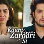 Kaun Kinna Zaroori Si Song