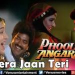 Dil Tera Jaan Teri Song