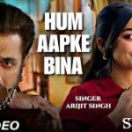 Hum Aapke Bina Song