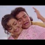 Hum Teri Mohabbat Mein Song 