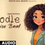 Noodle Jaise Baal Song