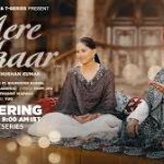 Mere Sarkaar Song