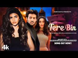 Tere Bin Song Lyrics