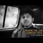 Maine Dil Lagana Chhod Diya Hai Song