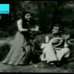 Raat Hai Taron Bhari Chitki Hui Song